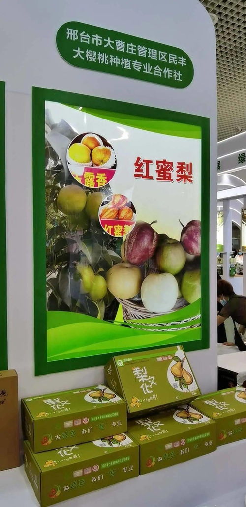 寧晉綠色農產品在廈門綠博會廣受歡迎，水產品零售表現搶眼