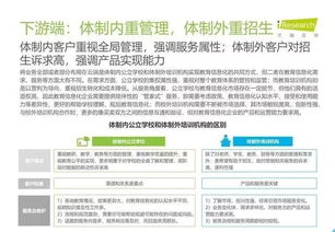 2019年中國教育信息化行業(yè)報告 信息技術(shù)咨詢服務(wù)